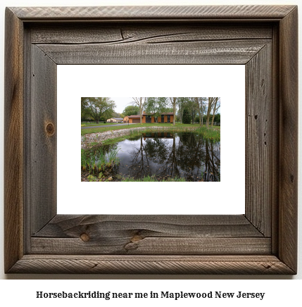 horseback riding near me in Maplewood, New Jersey